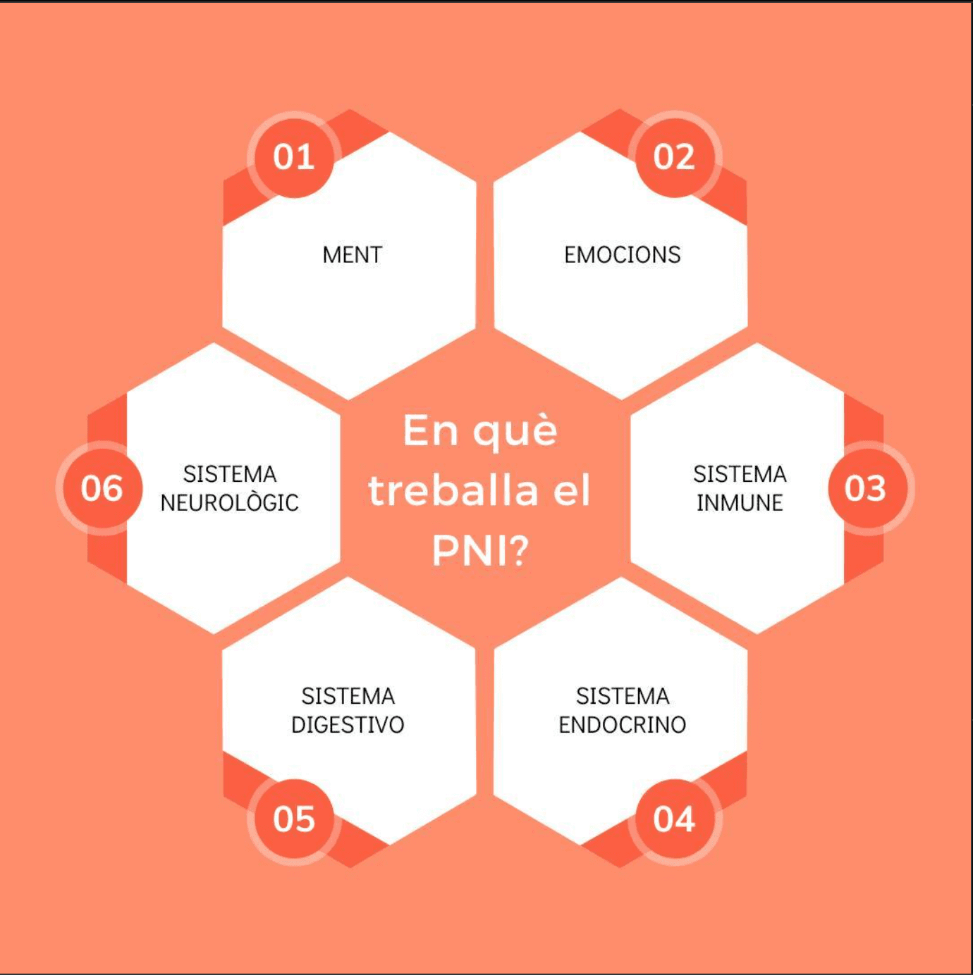 pni diagrama Servei de PNI a Lleida